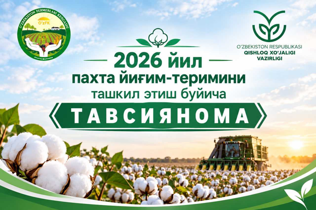 2026 йил пахта йиғим-теримини ташкил этиш бўйича